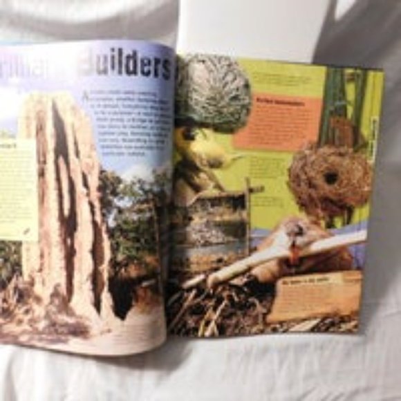 Discovery Channel Discover the Extreme World Book - Picture 7 of 9